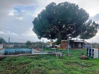 Casa rural en venta en Bollullos de la Mitación