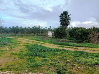 Casa rural en venta en Bollullos de la Mitación