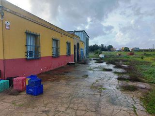 Casa rural en venta en Bollullos de la Mitación