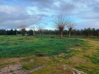 Casa rural en venta en Bollullos de la Mitación