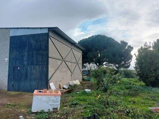 Casa rural en venta en Bollullos de la Mitación