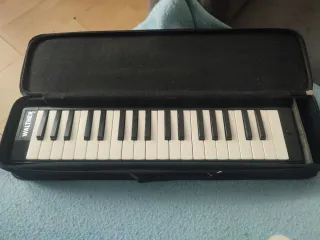 Melódica Walther con funda y accesorios