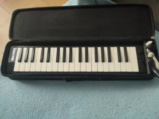 Melódica Walther con funda y accesorios