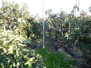 Chalet en venta en Urbanización Santa Rosa en Torrox