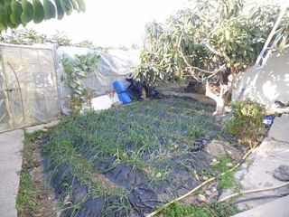 Chalet en venta en Urbanización Santa Rosa en Torrox