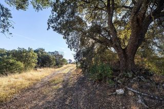 Cortijo en venta en Montefrío