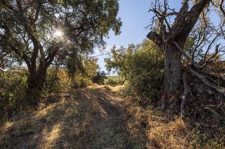 Cortijo en venta en Montefrío