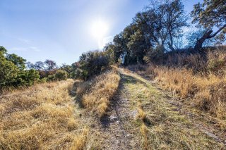 Cortijo en venta en Montefrío