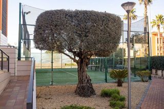 Piso en venta en Les Marines/Las Marinas en Dénia