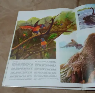 Vida Intima de Los Animales de la Jungla, Estep...