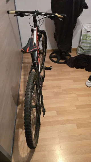 Bicicleta de Montaña