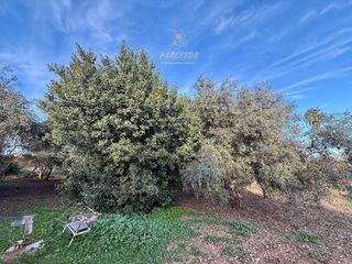 Casa rural en venta en Alcolea en Córdoba