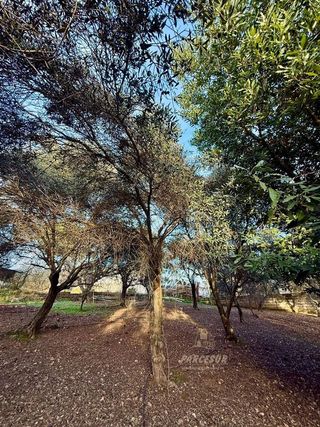 Casa rural en venta en Alcolea en Córdoba