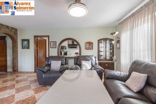 Chalet en venta en Otura