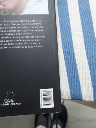 A diagonal dos tolos (Premio de Narrativa Repso...