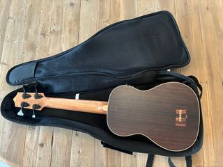 Kala U-Bass EBY-FS Fretted