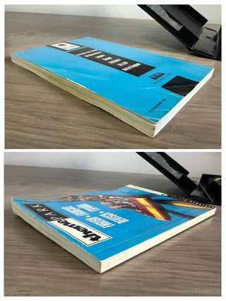 Theme park megadrive