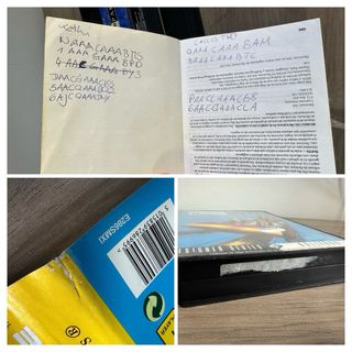 Theme park megadrive