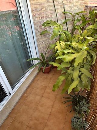 Piso en venta en Alginet