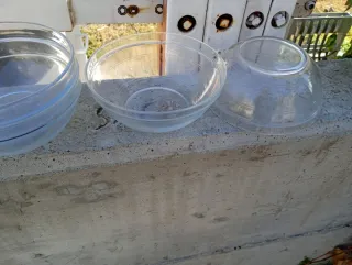 10 ciotole insalata Duralex 19cm Francia