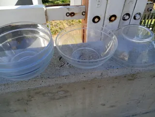 10 ciotole insalata Duralex 19cm Francia