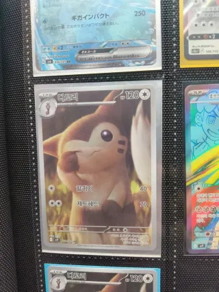 Colección Cartas Pokémon