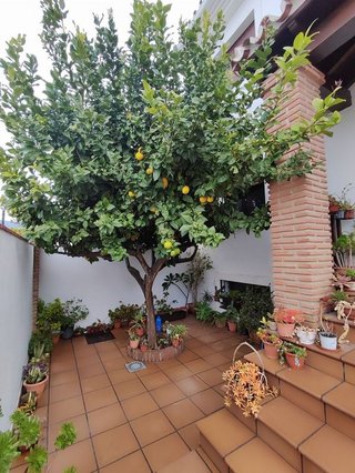 Casa adosada en venta en Los Pacos en Fuengirola