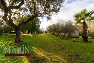 Casa rural en venta en Las Vaguadas - Urb. del Sur en Badajoz