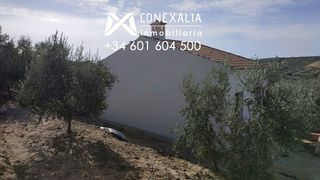 Casa rural en venta en Alcalá del Valle