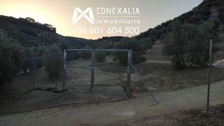 Casa rural en venta en Alcalá del Valle