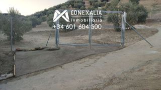 Casa rural en venta en Alcalá del Valle