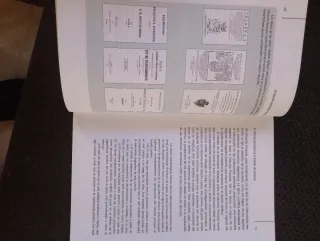 El sistema procesal español