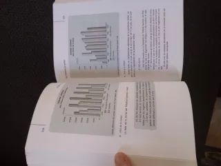 El sistema procesal español