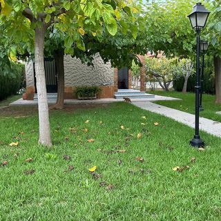 Chalet en venta en Zona Playa en Burriana