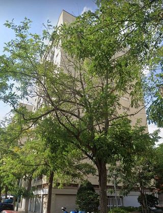 Piso en venta en Sant Llorenç en Terrassa