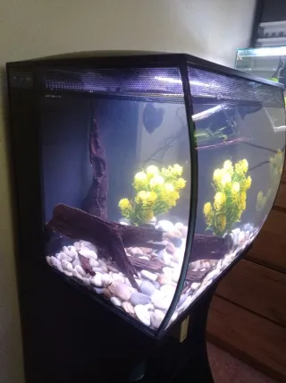 Acuario Fluval con mueble y urna extra