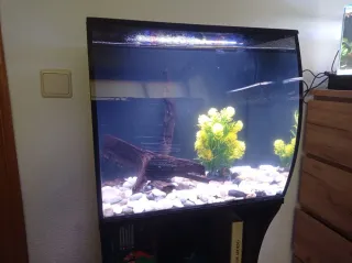 Acuario Fluval con mueble y urna extra