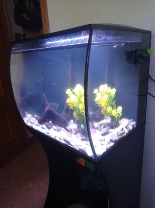 Acuario Fluval con mueble y urna extra