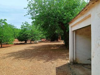 Casa rural en venta en Santa María en Ciudad Real