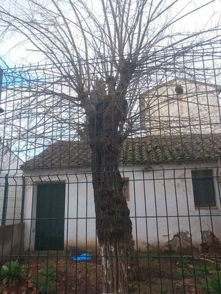 Casa rural en venta en Santa María en Ciudad Real