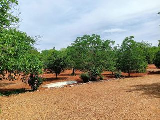 Casa rural en venta en Santa María en Ciudad Real
