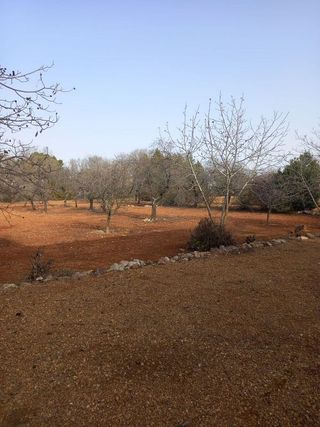 Casa rural en venta en Santa María en Ciudad Real