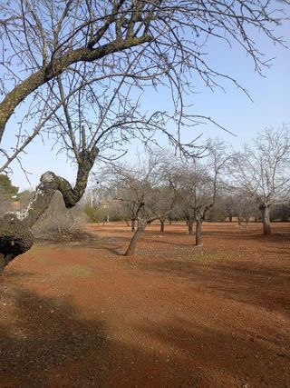 Casa rural en venta en Santa María en Ciudad Real