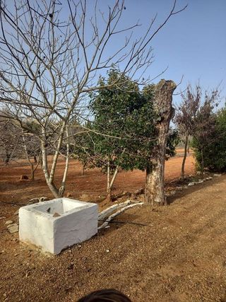 Casa rural en venta en Santa María en Ciudad Real