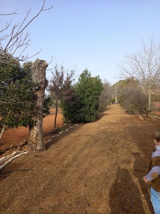 Casa rural en venta en Santa María en Ciudad Real