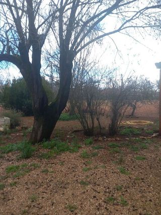 Casa rural en venta en Santa María en Ciudad Real