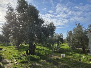 Casa rural en venta en Pilas