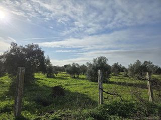 Casa rural en venta en Pilas