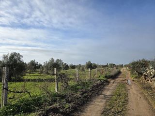 Casa rural en venta en Pilas