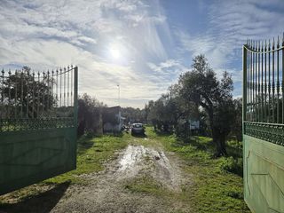 Casa rural en venta en Pilas